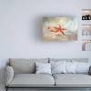 Trademark Fine Art -Jai Johnson 'Gifts From The Sea' Canvas Art - 2 of 4