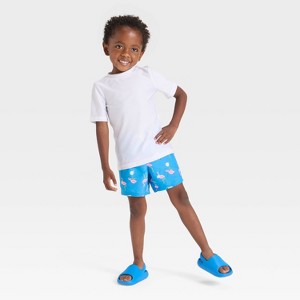 Toddler Boys' Short Sleeve Skateboarding Flamingo Rashguard Swim Set - Cat & Jack™ Blue - 1 of 4