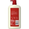 Old Spice Men's Body Wash Fiji with Palm Tree Scent 25 oz - 3 of 4