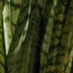 light brown, dark brown, camel, medium brown, medium gray