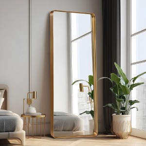 Aluminum Alloy Rounded Rectangle Imitation Electroplated Full Body Mirror 162 x 53 x 5cm (Deep Mirror - No Bracket) - 1 of 3