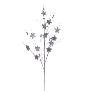 Vickerman 33" Star and Ball Glitter Spray - 1 of 1