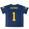 NCAA Michigan Wolverines Toddler Boys' Jersey - 2 of 3