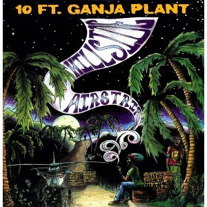 10 Ft Ganja Plant - Hillside Airstrip - 1 of 1
