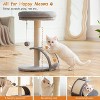 Cat house Modern Kitten Tower for Indoor Cats, Short Carpet Sisal Cat Scratcher Stand with - 4 of 4