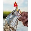 Bomber Saltwater High Pitch Badonk-a-donk 3/4 Oz Fishing Lure : Target