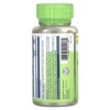 Solaray True Herbs, Avena Sativa, 350 mg, 100 Vegcaps - 3 of 4