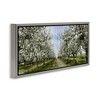 Stupell Industries Blooming White Tree Orchard, 25" x 11" - 3 of 4