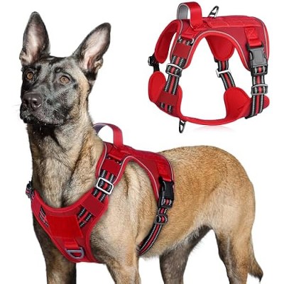 rabbitgoo Tactical Dog Harness for Large Dogs,  Vest with Handle & Molle, Easy Control for Training Walking, Adjustable Reflective Straps, Red, L