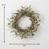 Sullivans Artificial Birch Eucalyptus Pods Wreath - 2 of 3