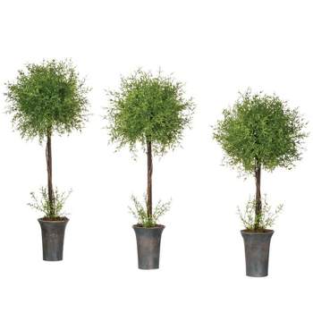 Artifical outdoor Ferns bestellen met 8 jaar kleurgarantie
