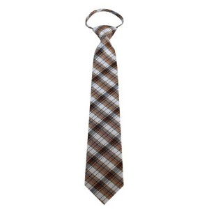Men's Plaid 3.25 Inch W And 20 Inch L Zipper Neckties - 1 of 3