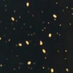 foil speckle