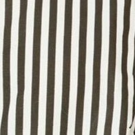 black stripe