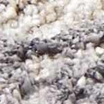 charcoal, ivory, tan, cream, olive