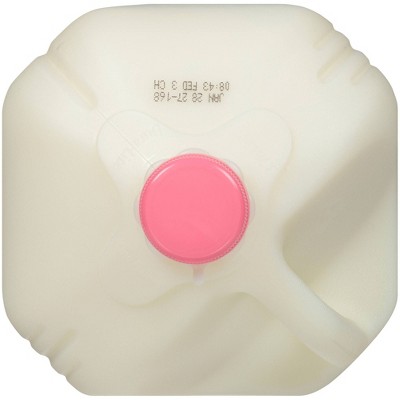 Kemps Skim Milk - 1gal