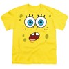 Boys' Short Sleeve Spongebob Surprise Face T-Shirt - 2 of 4