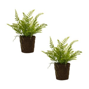 Melrose Varigated Fern Bush (Set of 2) - 1 of 2