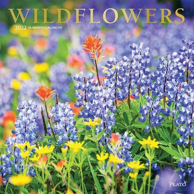 BrownTrout Publishers 2021 - 2022 Monthly Floral Wall Calendar, 16 Month, Wildflowers Theme, 12 x 12 in