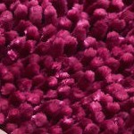 raspberry