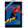 Trends International DC Comics Movie The Flash - Heroes Unframed Wall Poster Prints - 3 of 4