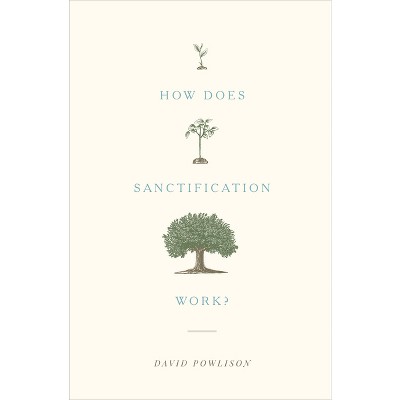 How Does Sanctification Work? - by  David Powlison (Paperback)