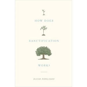 How Does Sanctification Work? - by  David Powlison (Paperback) - 1 of 1