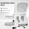 Lirago Ergo Swivel Chair - Flip-Up Armrests & Lumbar Support, Grey Mesh - 4 of 4