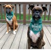 Pavilion Gift Company - Best Boxer - 12" x 8" Canvas Slip on Pet Bandana - Pet Apparel Accessories - 3 of 4