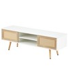 NicBex TV Stand Rattan TV Cabinet with 2 Sliding Doors for Storage Entertainment Center with Adjustable Shelf for Living Room - 2 of 4