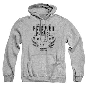 Men's Petrified Forest National Park Prickly Pear Wreath Pull-Over Hoodie - 1 of 4