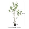 Gulches 210CM (82.7'') Artificial Pieris Tree - Pre-Potted Faux Plant with Flexible Iron Frame, Low-Maintenance Lifelike Greenery - 2 of 4