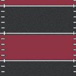 washington state cougars