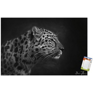 Trends International 5FishCreative - Leopard Portrait Unframed Wall Poster Prints - 1 of 4