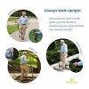 Walking Cane Collapsible Special Balancing with 10 Adjustable Heights -  Self-Standing Folding Cane, Comfortable and Lightweight - MedicalKingUsa