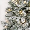 6.5' Prelit PowerConnect LED Slim Flocked Chatham Artificial Christmas Tree Dual Color Lights - National Tree Company - 3 of 4