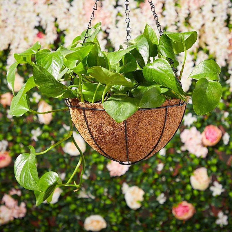 10 Inch Hanging Plants Basket for Outdoor with Coco Coir Liner, Metal Hanger for Flower Garden Patio Decoration, 2 of 7