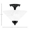 Toltec Lighting Any 2 - Light Flush Mount in  Matte Black with 12" Italian Bubble Shade - 2 of 2