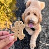 Buddy Biscuits Oven Baked Treats with Bacon and Cheese Dry Dog Treats - 16oz - 4 of 4