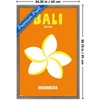 Trends International Reinders: Destinations - Destination Bali Framed Wall Poster Prints Barnwood Framed Version 22.375" x 34" - 3 of 4
