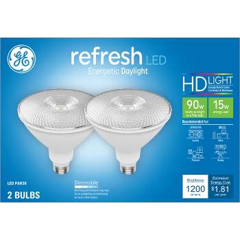 GE 2pk 15W 90W Equivalent Refresh LED HD Floodlights Daylight