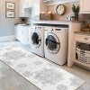 Acekool Washable Vintage Area Rug, Low Pile Non-Slip Soft Distressed Medallion Carpet for Living Room Bedroom, Easy Care - 3 of 4