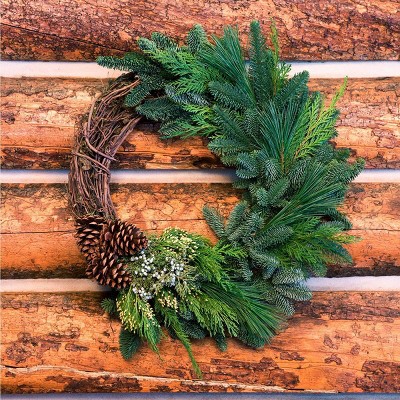 Live Fresh Cut Pacific Northwest Grape Vine and Greens 20" Wreath - Van Zyverden