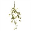 Mossy Twig Branch Vine (Set of 6) - 2 of 2