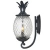Acclaim Lighting Lanai 2 - Light Wall Light in  Matte Black - 3 of 4