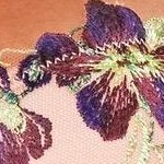 daphne c02 violet indigo/windsor wine