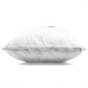 Stupell Industries Green Sea Turtle Beach Ball Aquatic Animal Indoor Decorative Throw Pillow, 18 x 18 - 2 of 3