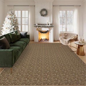Acekool 5x7 Washable Braided Print Area Rug, Non-Slip Modern Soft Carpet, Stain Resistant Low Pile Throw Rug for Living Room, Bedroom - 1 of 4