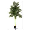 Nearly Natural 7-ft Golden Cane Artificial Palm Tree - 2 of 3