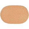 Sunsplash Braid Collection 100% Polypropylene Reversible Indoor/Outdoor Area Utility Rug - Better Trends - 2 of 4